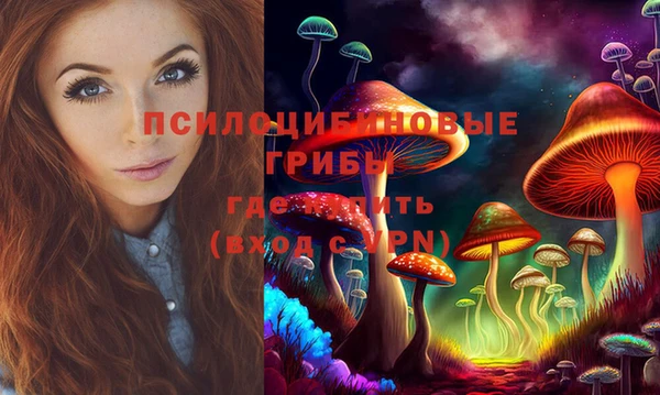 гидра Волосово